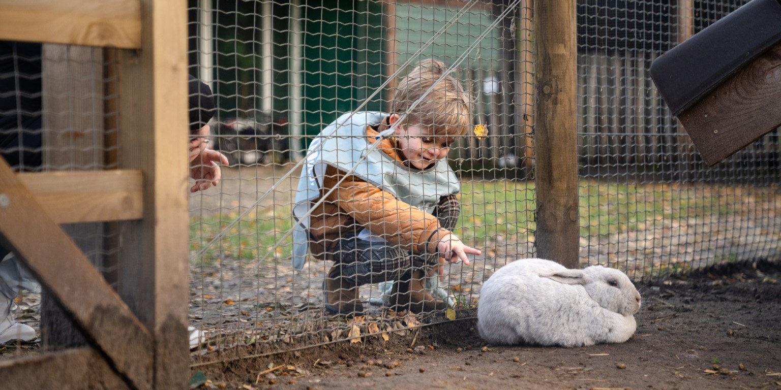 Kind steekt vingers door gaas om konijn te aaien