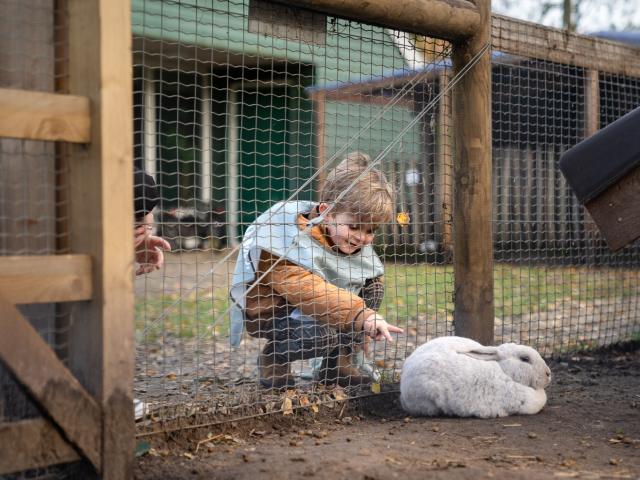 Jongen bij konijnenhok op de kinderboerderij